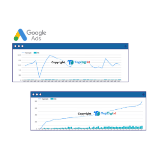 Contoh Laporan Ads Perform